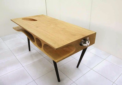 weird-desk-cat.jpg