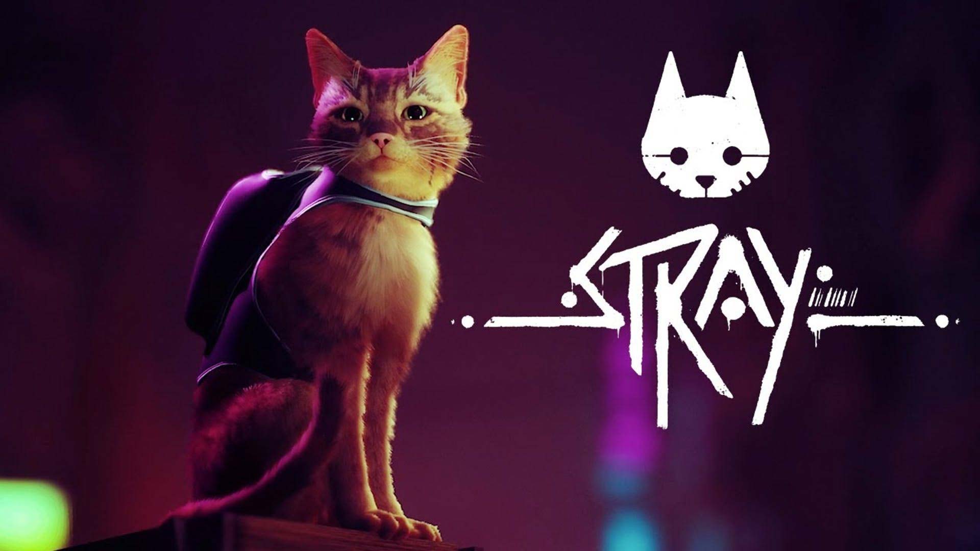 Stray: macskás cukiskodás egy posztapokaliptikus világban
