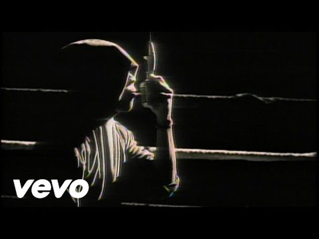 Betörőt fogott LL Cool J