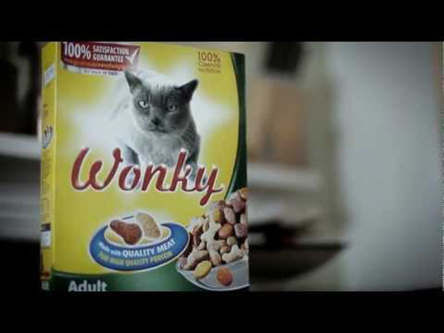 Macskák, macskákat látok mindenhol! – klipmegosztás