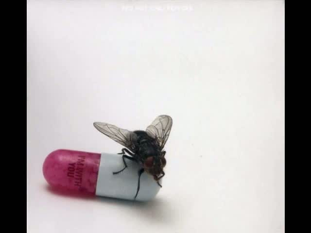 Magpies on Fire & Victorian Machinery - Két újabb eddig nem hallott Red Chili Peppers-dal