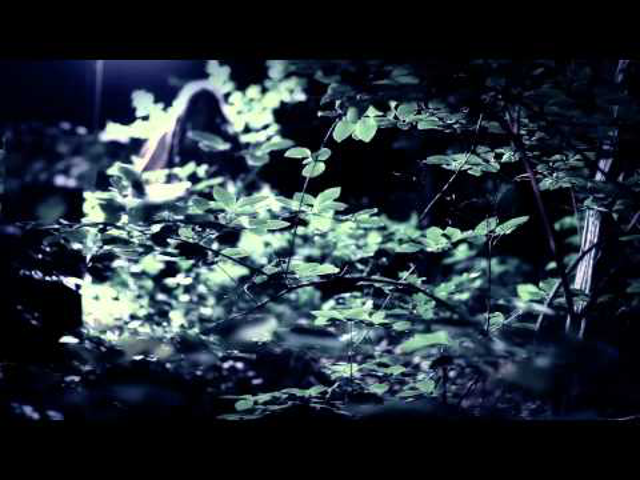 Bohém erdő - Kilian-klippremier