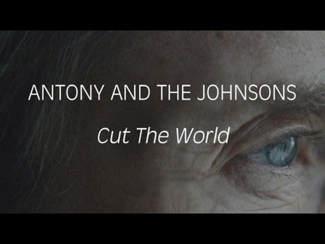 Cut the World - Új Antony and the Johnsons-videó (18+)