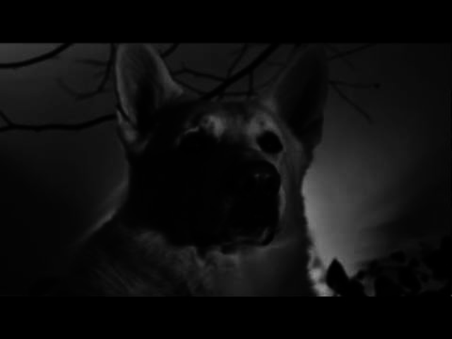 Most igazán nagy dolgok történnek - Gojira-lemezkritika