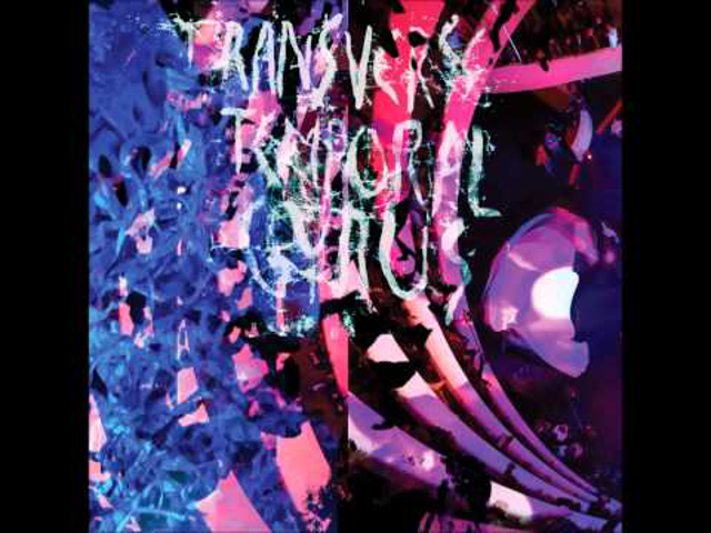 Transverse Temporal Gyrus – Az Animal Collective kislemeze a Record Store Dayre