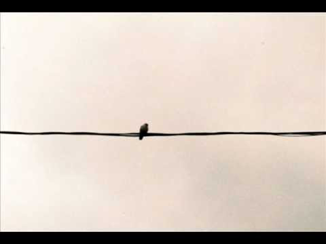 Lykke Li, MGMT és The Kills is lesz a készülő Fleetwood Mac-feldolgozáslemezen