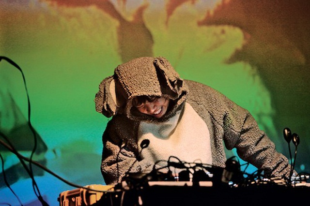 KidKoala4_1.jpg