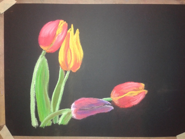 tulipán csokor