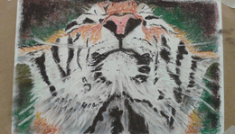 pasztell003 tigris mosoly