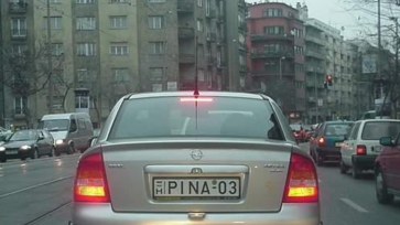 Vaginatorna 3.