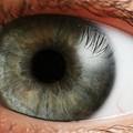 Az 5 leggyakoribb tévhit a látásról