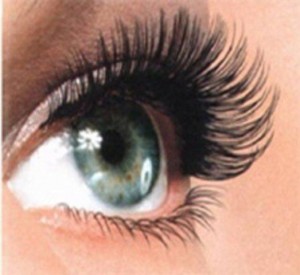 build-up-of-3d-eyelashes.jpg