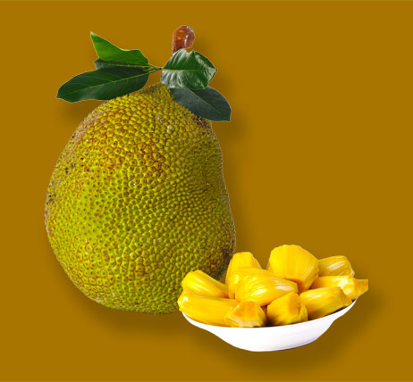 jackfruit.jpg