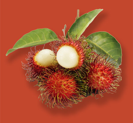 rambutan.jpg