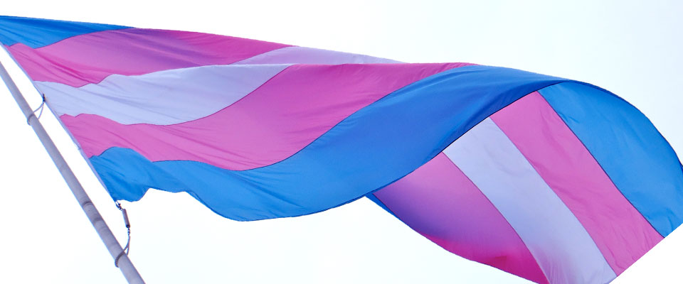 kgm_historic_trans_flag_raising_from_facebook.jpg