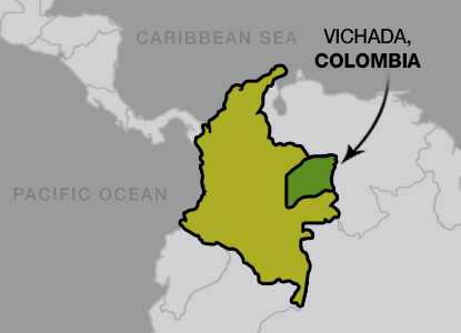 vichada.jpg