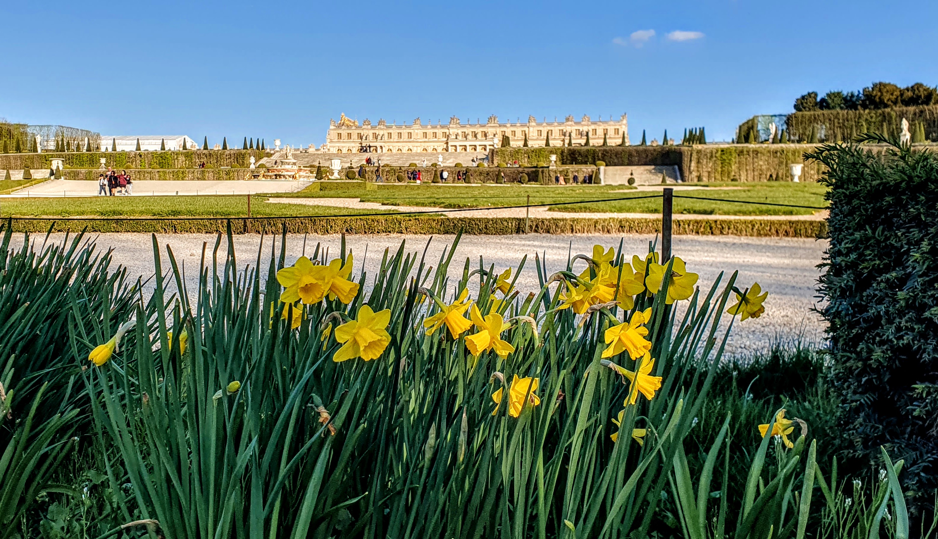 versailles24.jpg