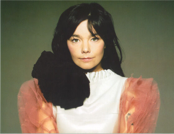 Bjork.jpg