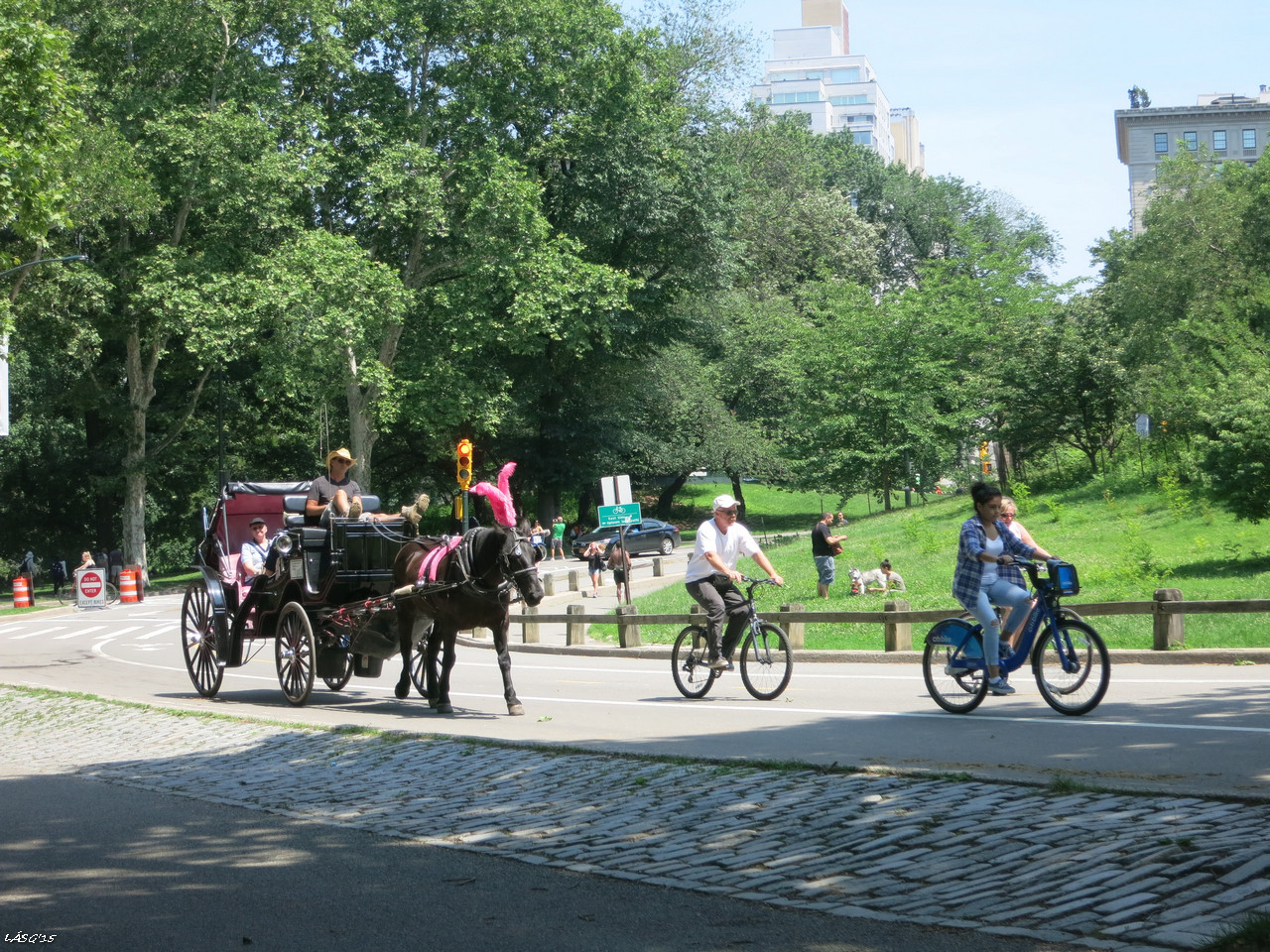Visszamentünk a Central Parkba, konflis és kerékpárosok.