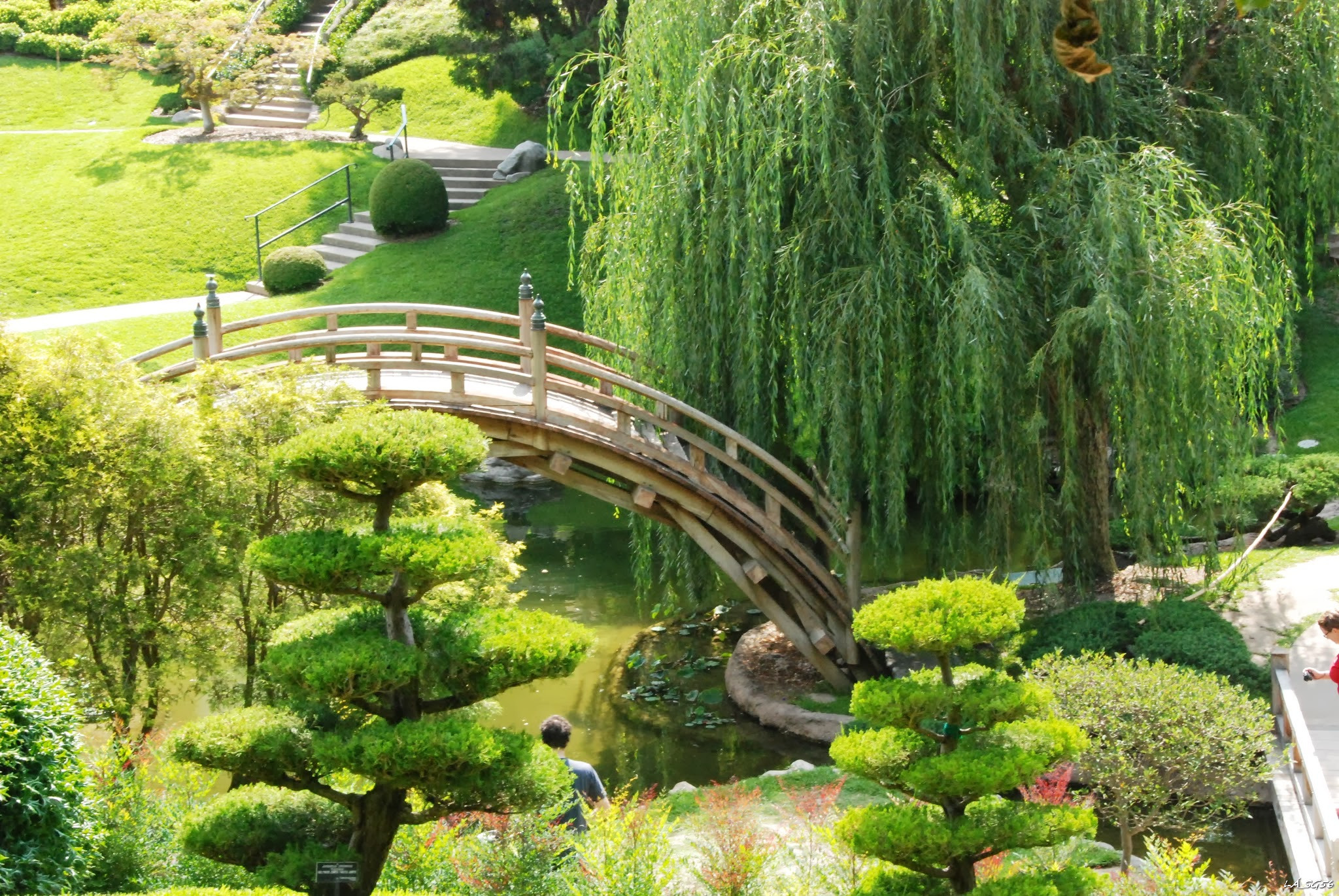 A japánkert