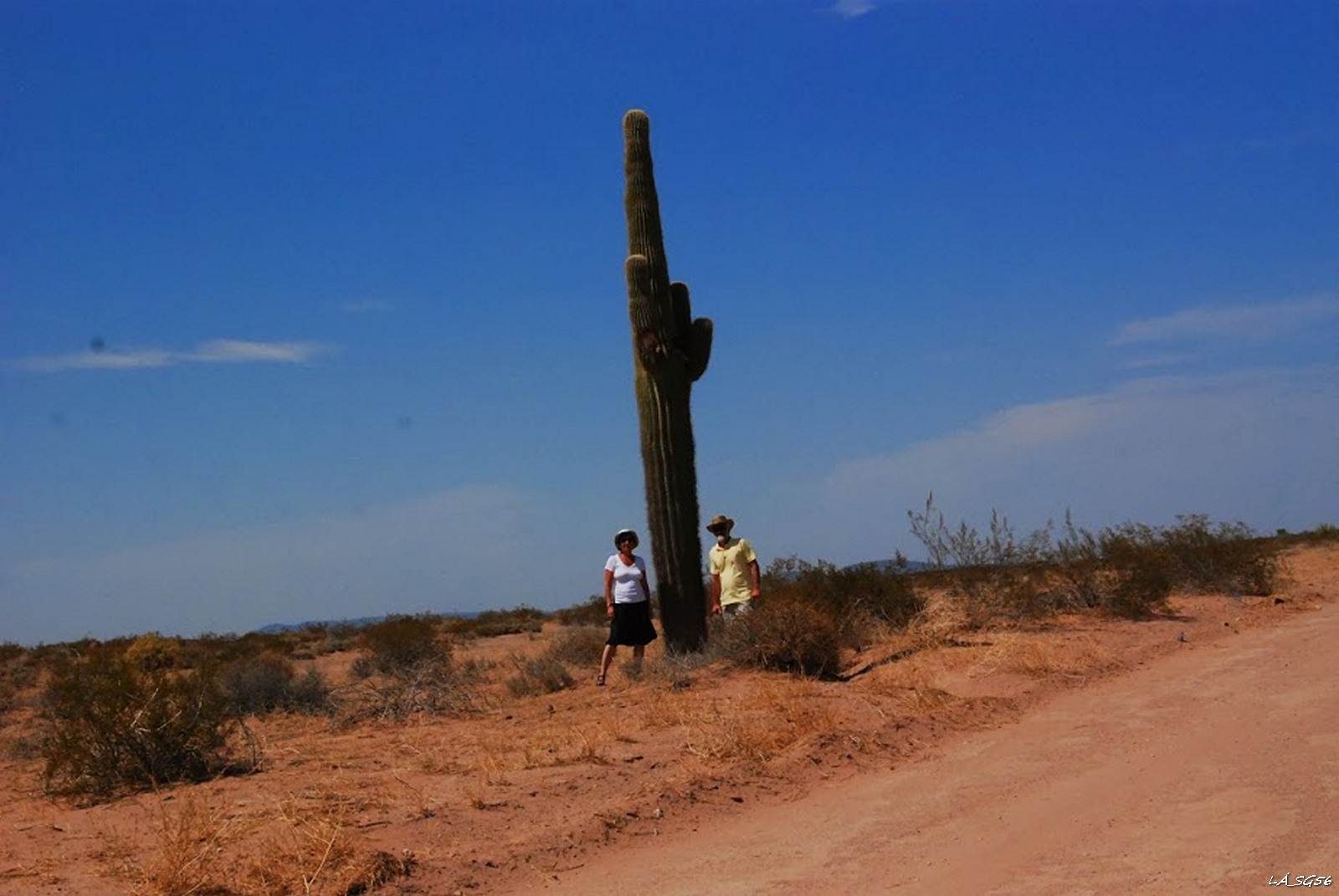 Az első igazi, ép saguero-kaktusz, itt mutatott a kocsi hőmérője 48 fokot