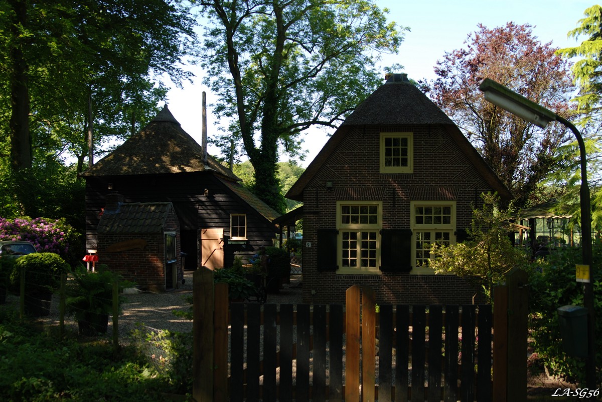 20120526_NL_1Rijnauwen006.jpg