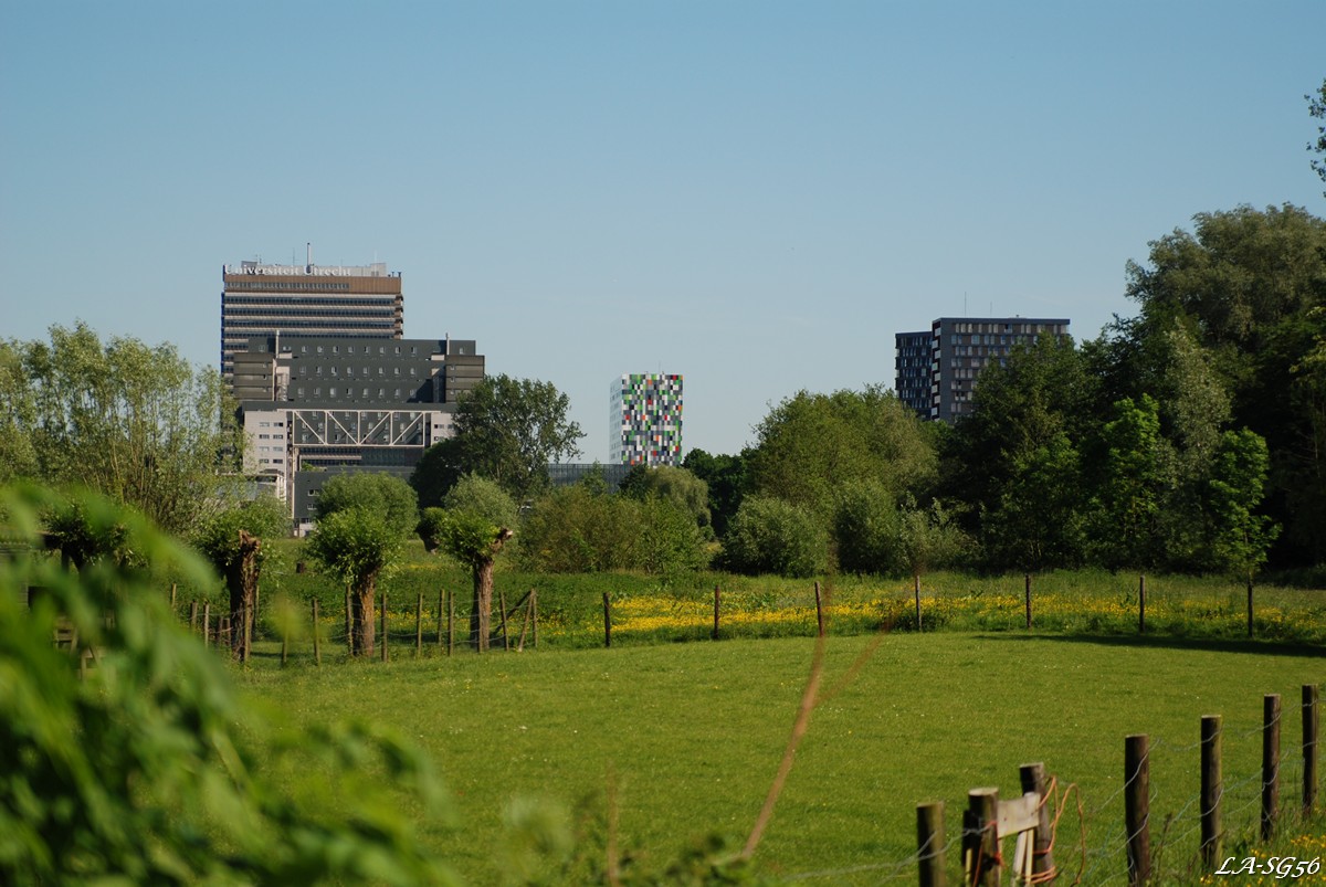 20120526_NL_1Rijnauwen009.jpg