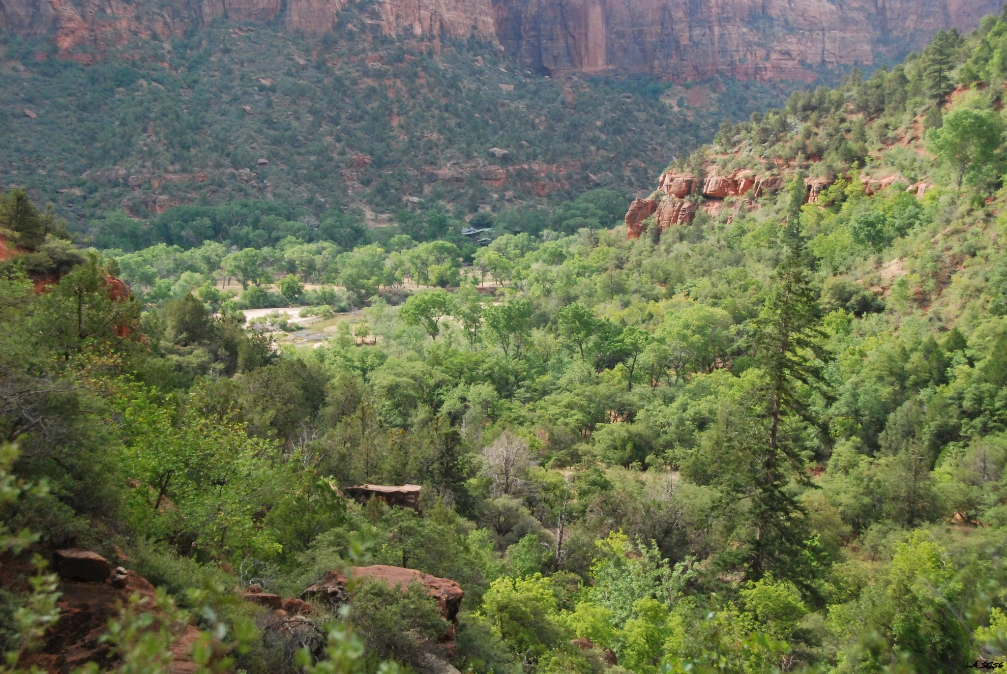 A Zion-Canyon