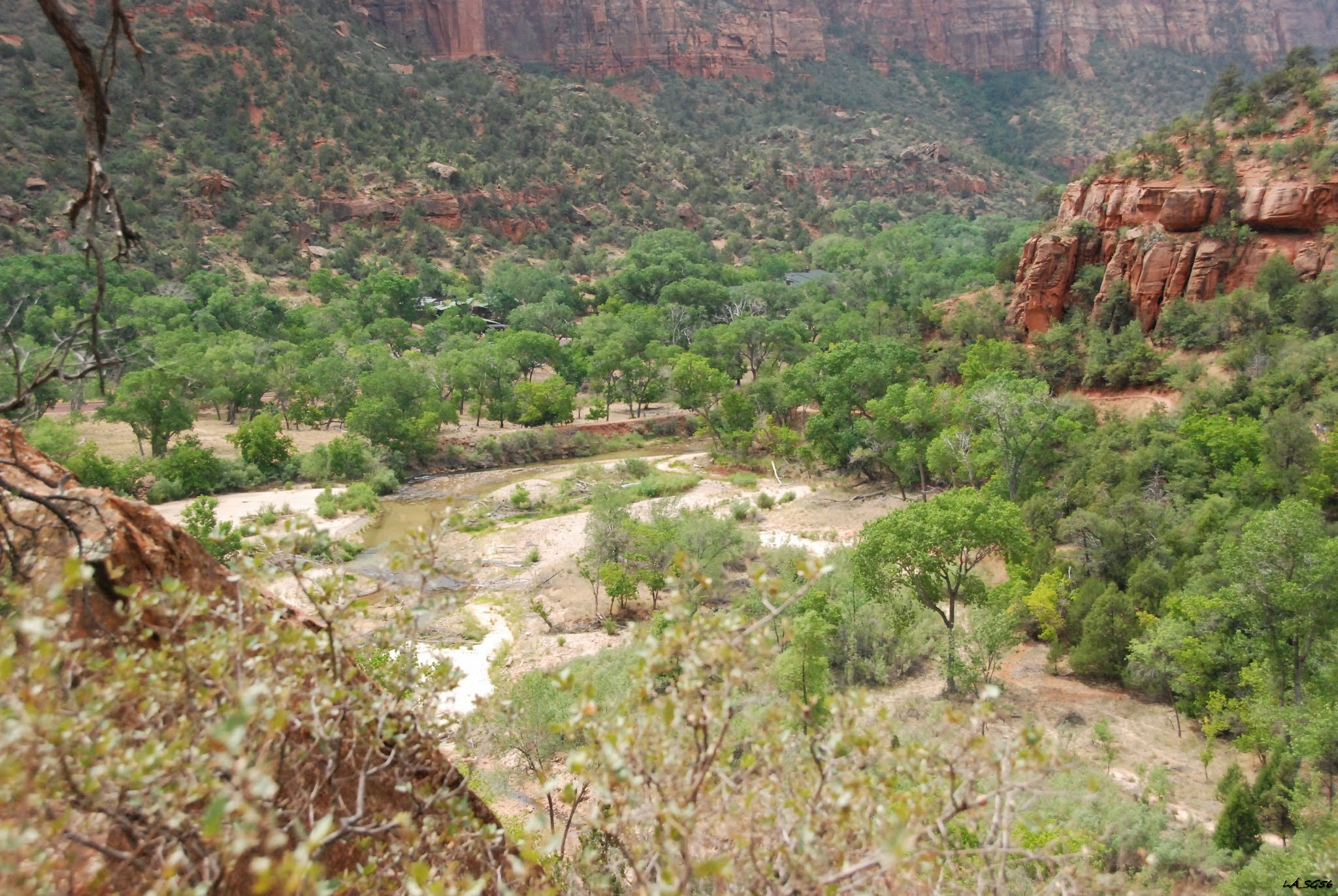 Zion-Canyon