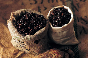 A világ 5 legdrágább kávéja