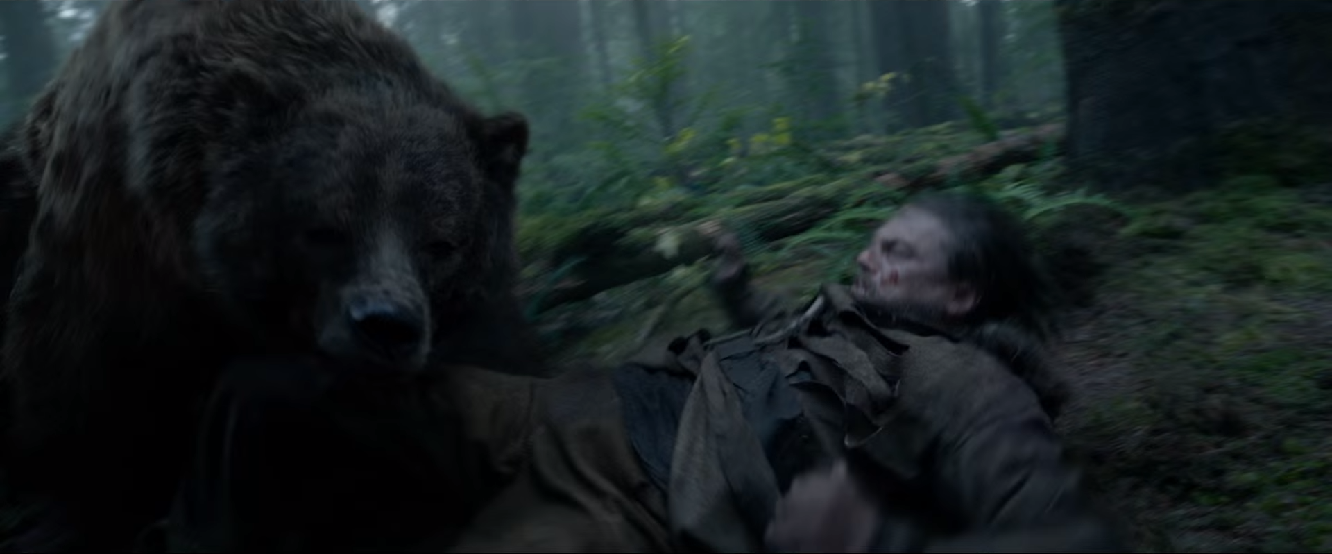 bear-attack.png