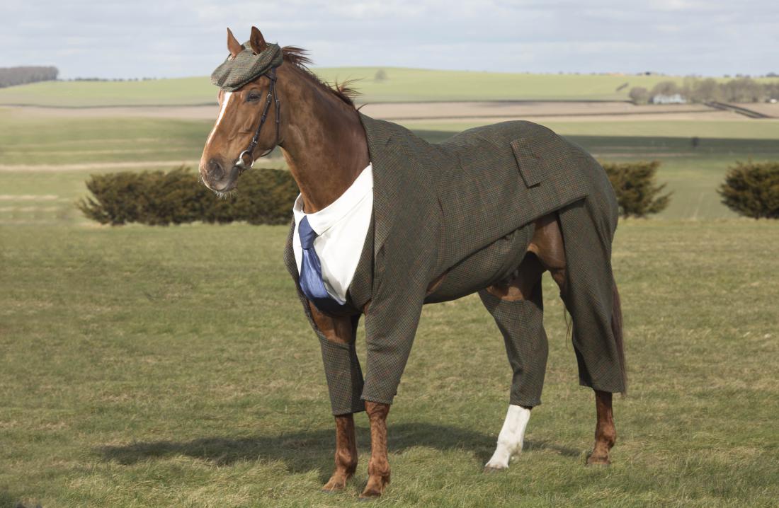 horse-tweed-suite-1.jpg