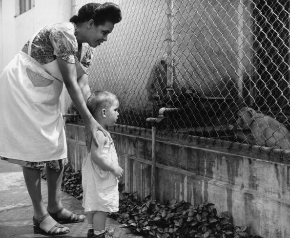 mothers_1950.jpg