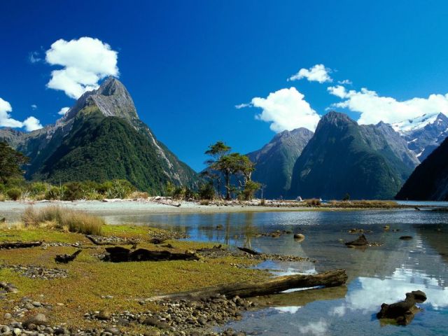 743_milford_sound_fiordland_national_park_500.jpg