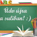 Suli :(  vs. :)