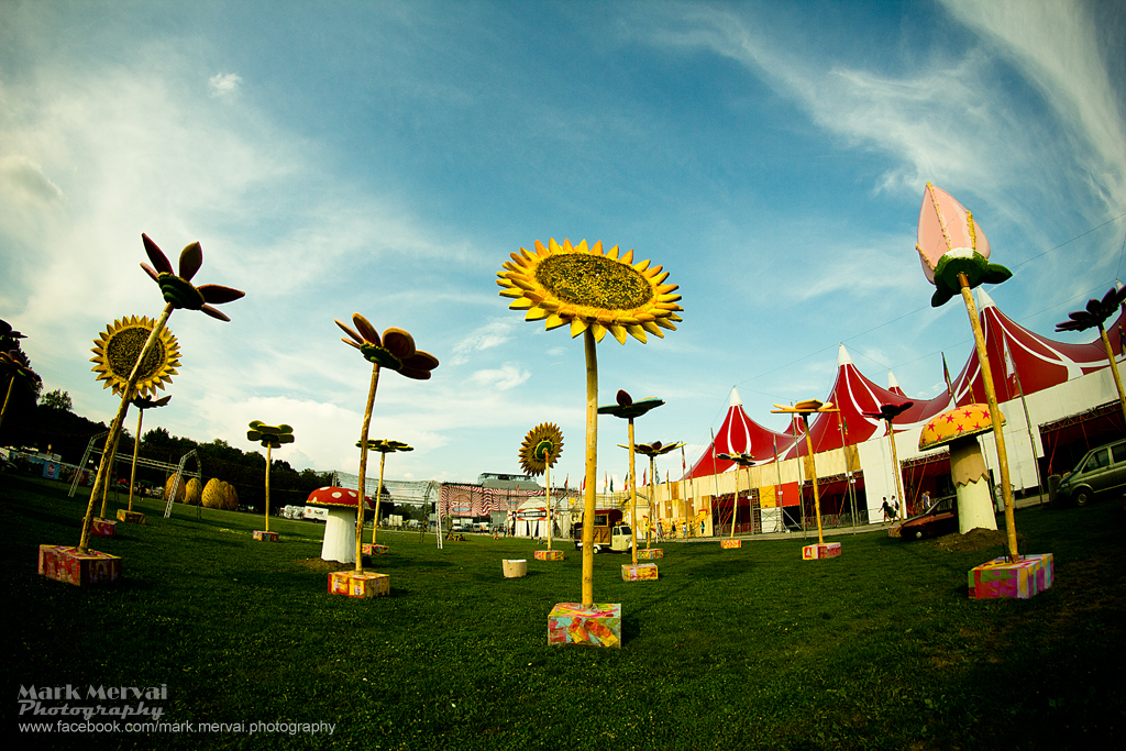 sziget14-2.jpg