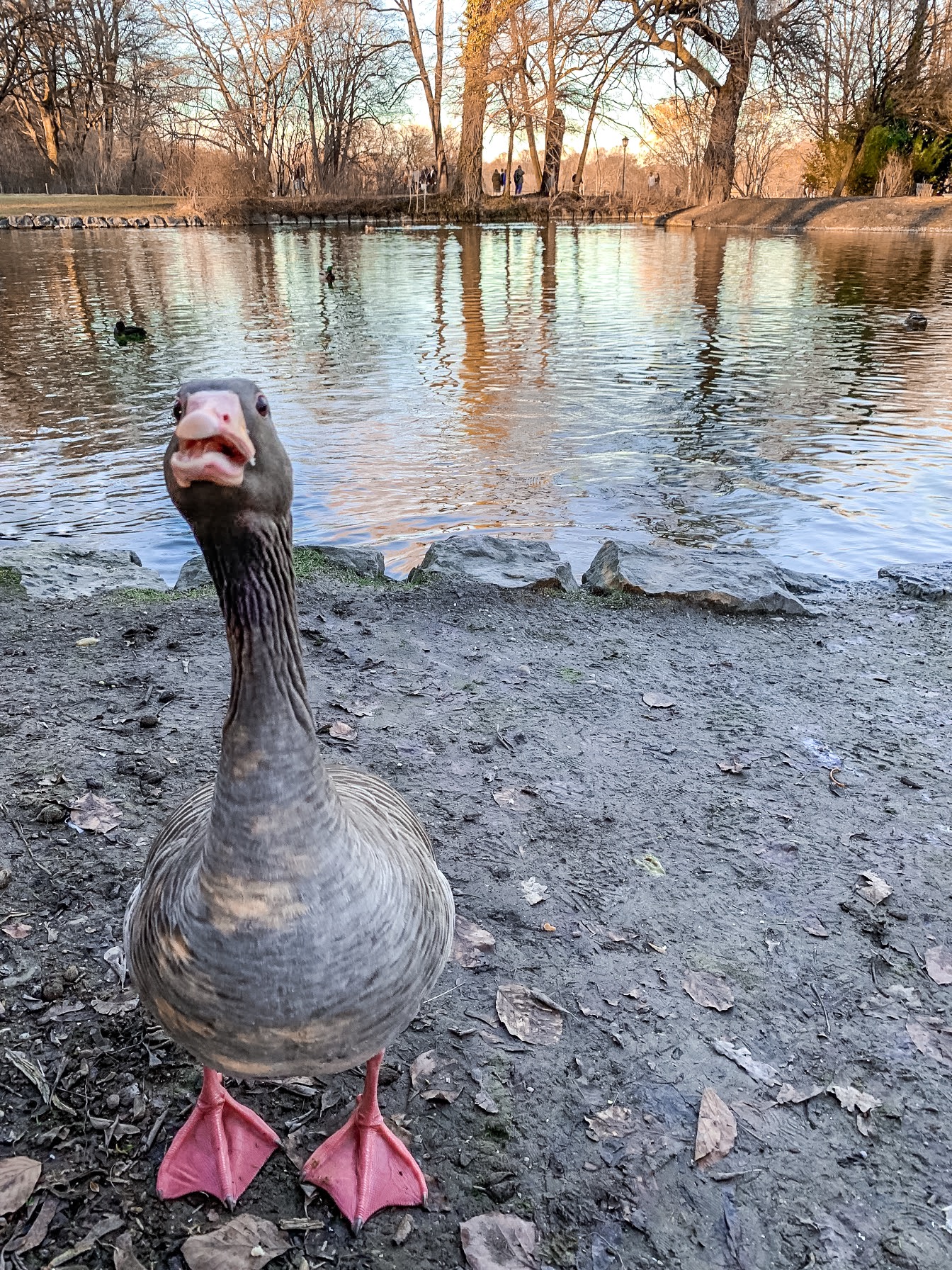 Englischer garten