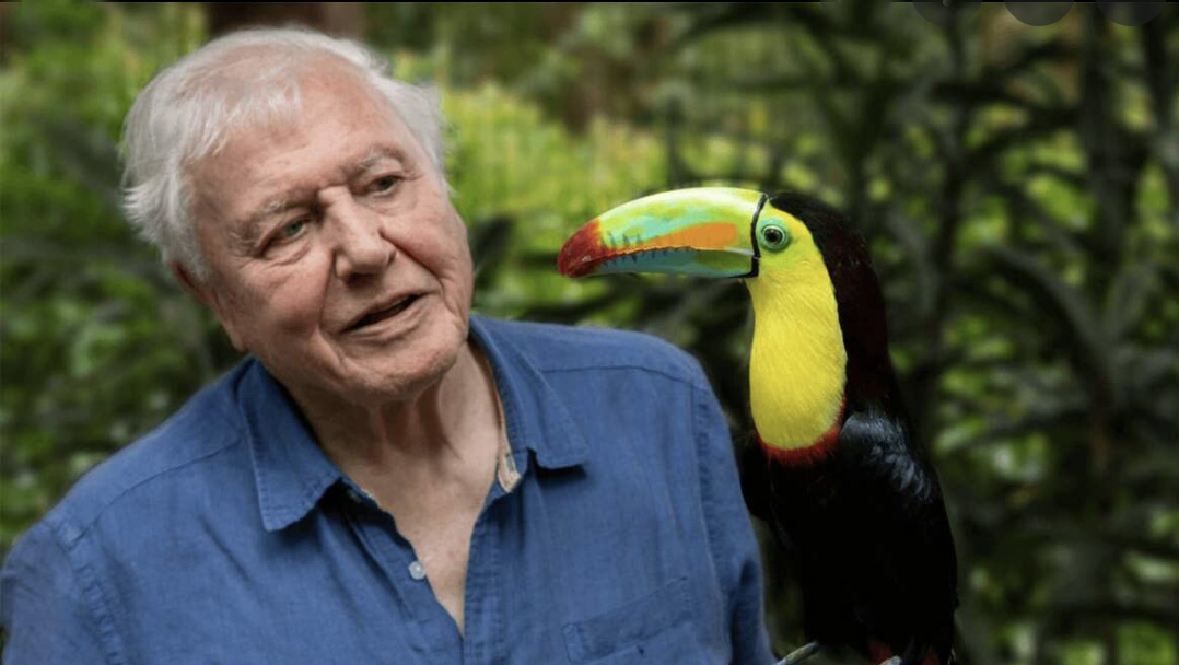 09_david_attenborough.jpg