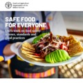Safe food for everyone -FAO -