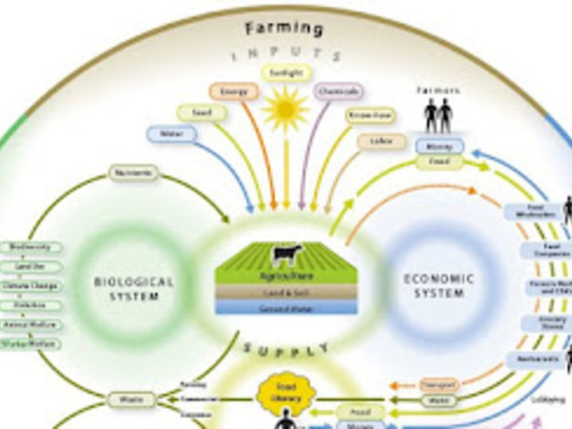 World Food System, hogy is van ez?