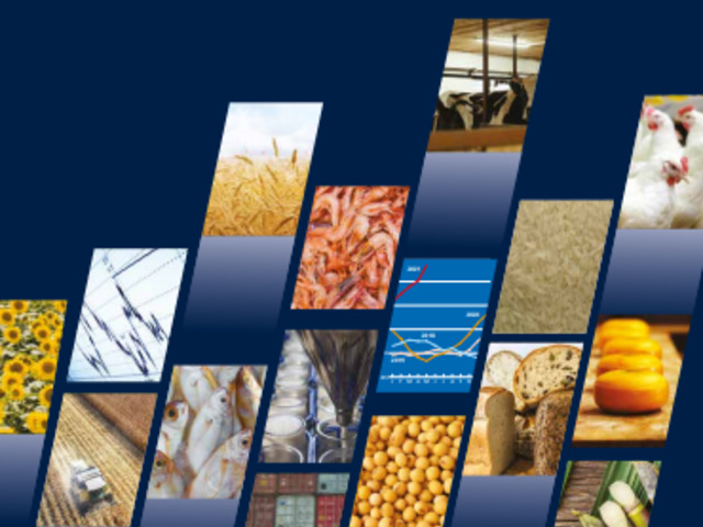 Food Outlook 2021 - Biannual Report On Global Food Markets - FAO -