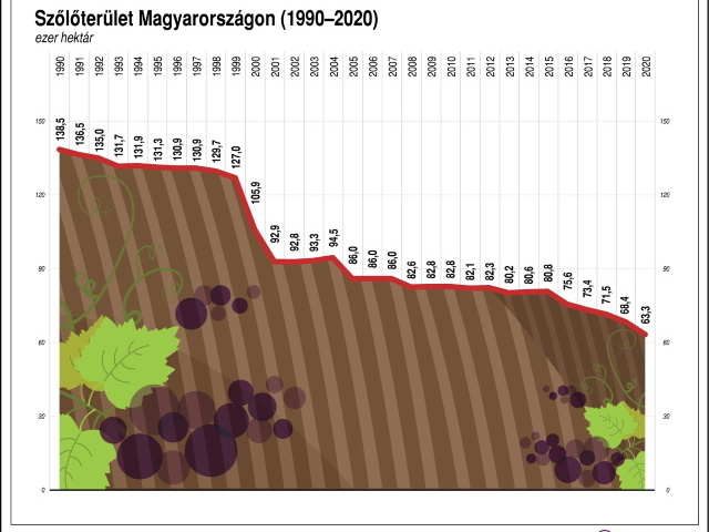 Véleménycikk - Zsebők Zsigmond - Rókusfalvi Pál - Elvesztették a fiatalokat a magyar borászok - cikkre