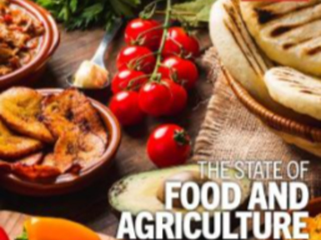 The State of Food and  Agriculture 2024  - Value-Driven Transformation of Agrifood Systems - FAO -