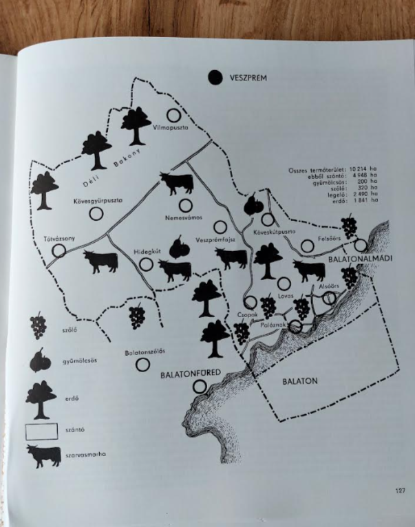 csopak_taja_terkep.png