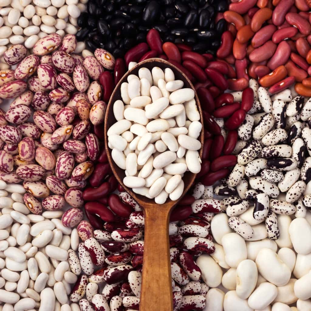 different-types-of-beans.jpg