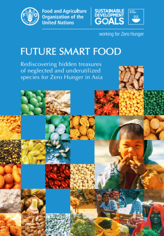 future_smart_food.png