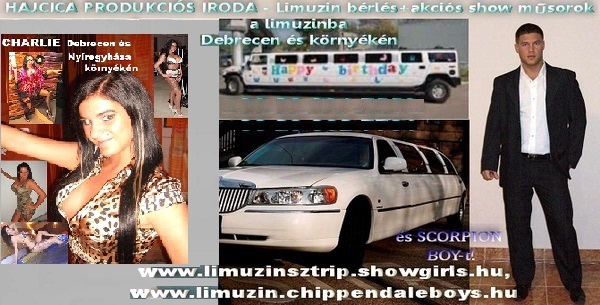 a_a_debrecen_limo_chipp_strip_1.jpg