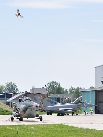 170606_pa_raf_typhoon_3.jpg