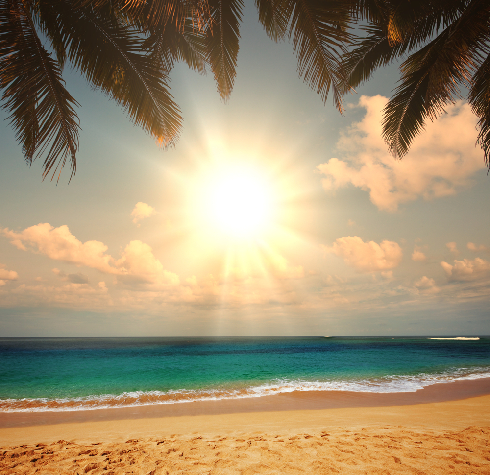 shutterstock_105926228.jpg
