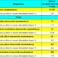 A munkavédelemi cipők fontossága